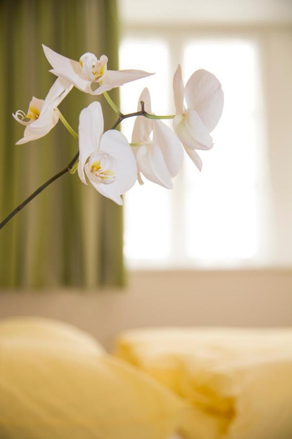 B&B Zum Guten Tropfen San Paolo  외부 사진
